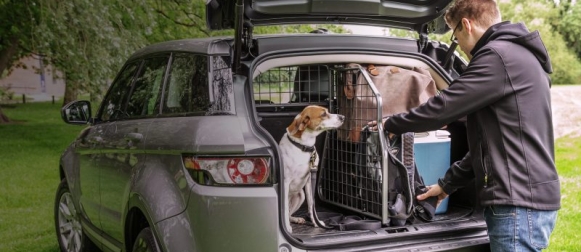 Turvallista automatkaa myös koirakavereille